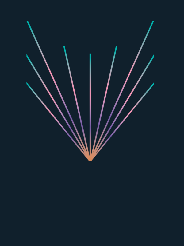 Firework Icon